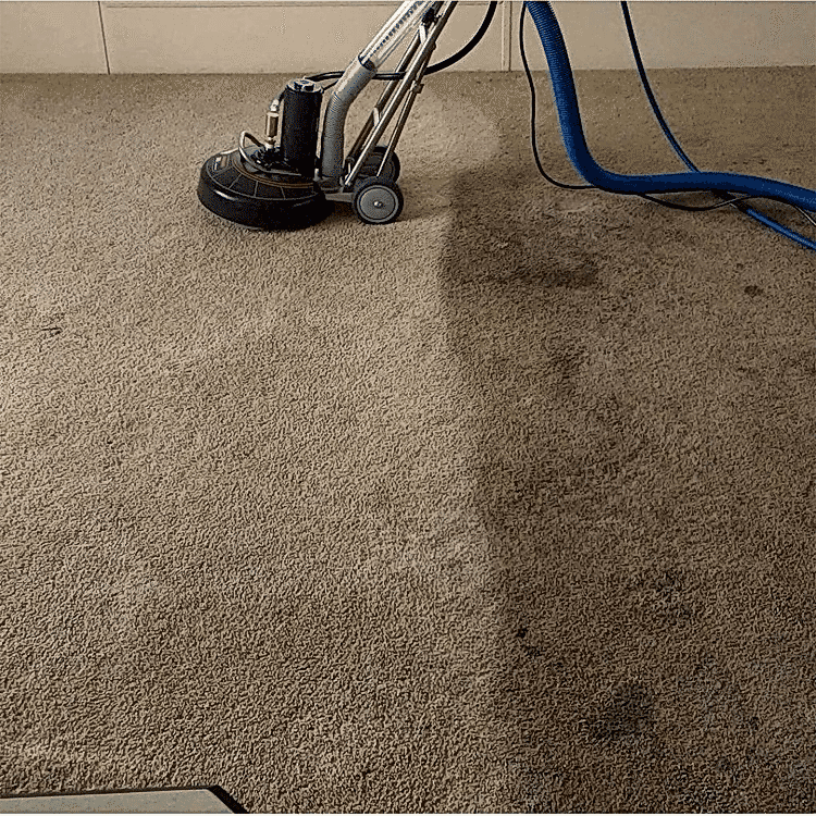 YERİNDE HALI YIKAMA